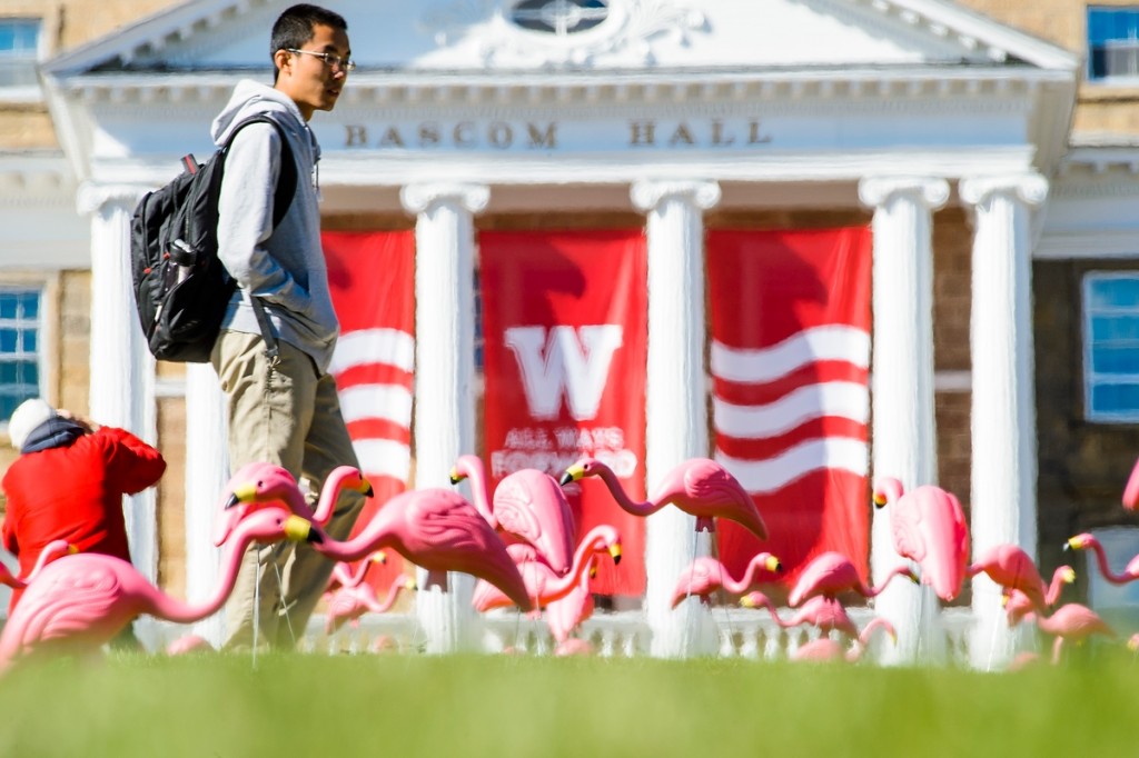 As donations pour in for the UW’s Annual Campaign, plastic pink flamingos — one of the most iconic and adored campus symbols — pop up on Bascom Hill in October.
