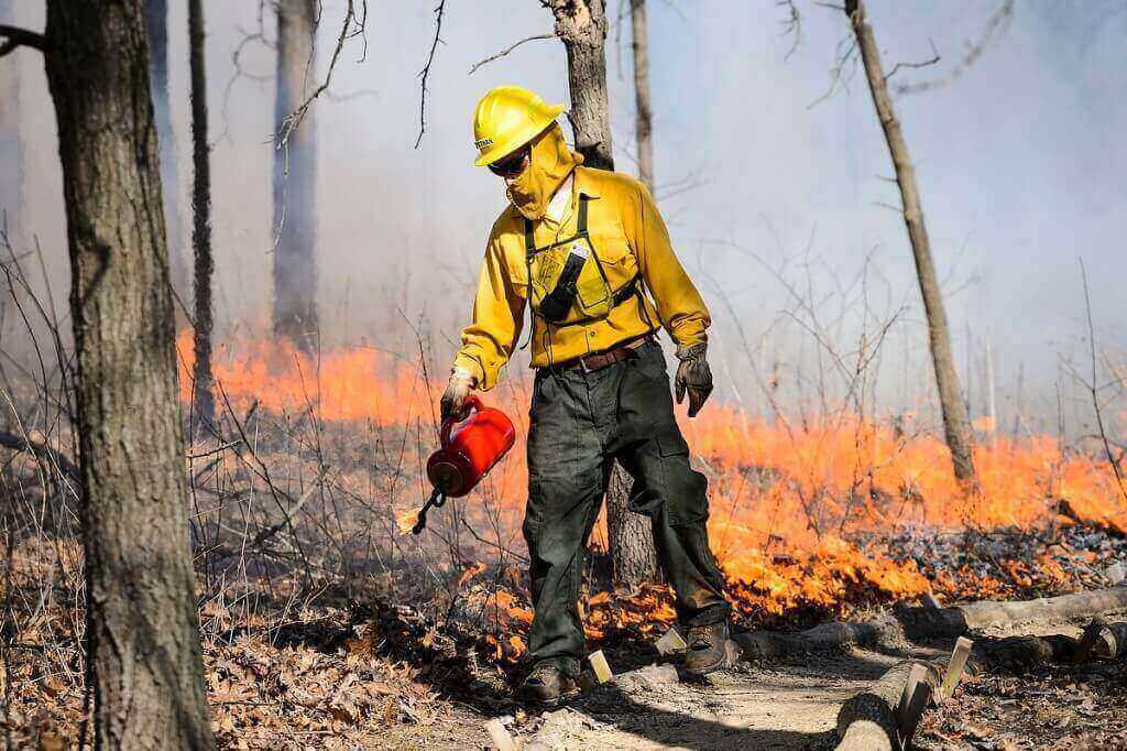Photo: Worker tending to controlled fire