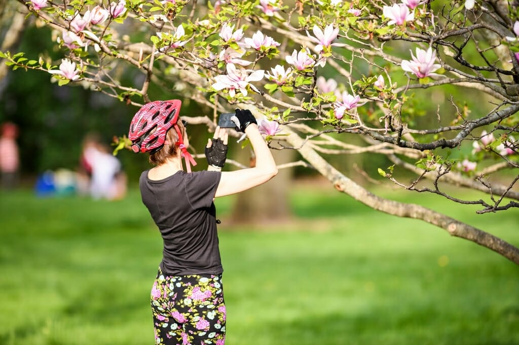Photo: Woman in bike helmet photographing tree